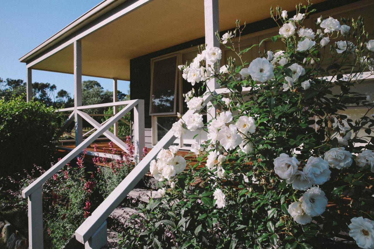 Bed and Breakfast Olivi Yanakie Exterior foto